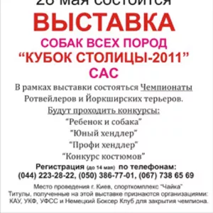 Спешите! Регистрация на выставку до 14 мая. САС
