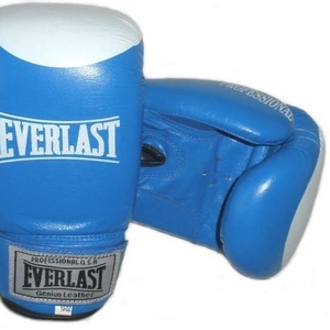 Боксёрские перчатки Everlast,  World Sport (кожа)