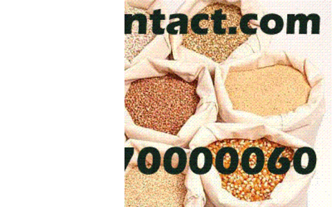      Постоянно закупаем кукурузу,  пшеницу,  отруби,  ячмень,  макуху,  ове