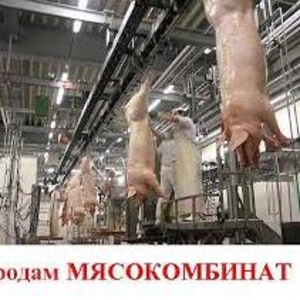 Строительство мясокомбинатов