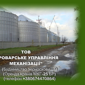 Аренда гусеничного крана МКГ-25БР по Киев и др. города Украины.