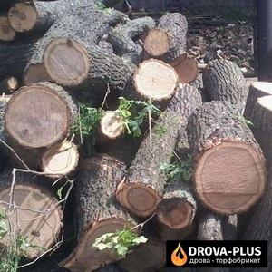 Дрова метрові Луцьк Купити рубані дрова у Drova-plus