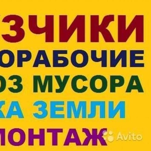 Грузчики,  грузоперевозки, вывоз мусора круглосуточно Одеса