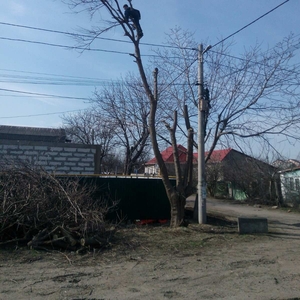 Профессионально и аккуратно спилим дерево,  вывезем