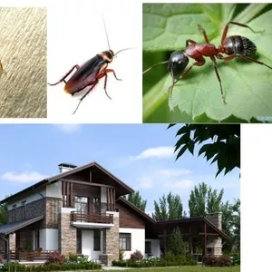 Обробка відкритих приміщень від кліщів,  комарів,  мурах та ін.