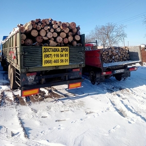 Продам березовые,  сосновые дрова метровки. 