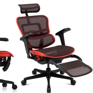 Кресло Ergohuman Ultra X9 Gaming Legrest Equator красное с доставкой