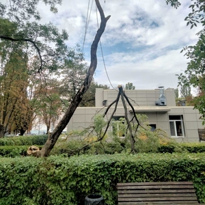 Спил дерева, демонтаж работы, земляные работы в ручную Одесса