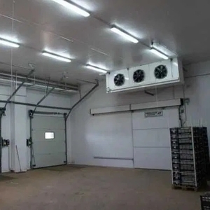 Холодильна камера Тривалого зберігання яєць (встановлення під ключ)