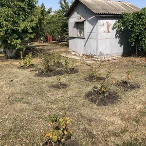 Продам дачу ,  Валківський район