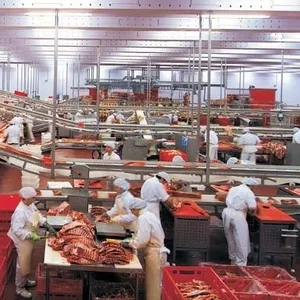 Оборудование для мясопереработки, санитарии и гигиены