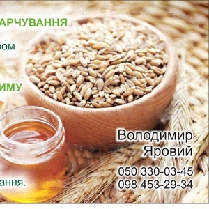 Продам пшеницу, рожь, зерно амаранта, растительные масла.