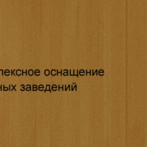 Комплексное оснащение учебных заведений средствами обучения