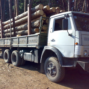 Продам лес пиловочник , кругляк с доставкой . Сосна ,  Ясень  итд