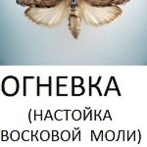 огневка