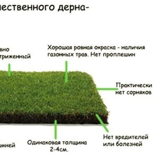 Предлагаем  продажу с доставкой и разгрузкой  газон рулонный,  