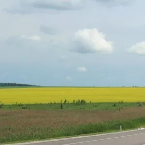 Земельный участок под склад,  логистику в Одессе 3 га,  окружная дорога