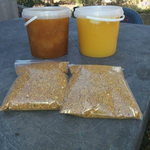 Мёд подсолнух,  гречка,  Разнотравья