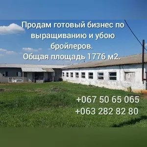 Продам готовый бизнес,  помещение(бывший коровник) 